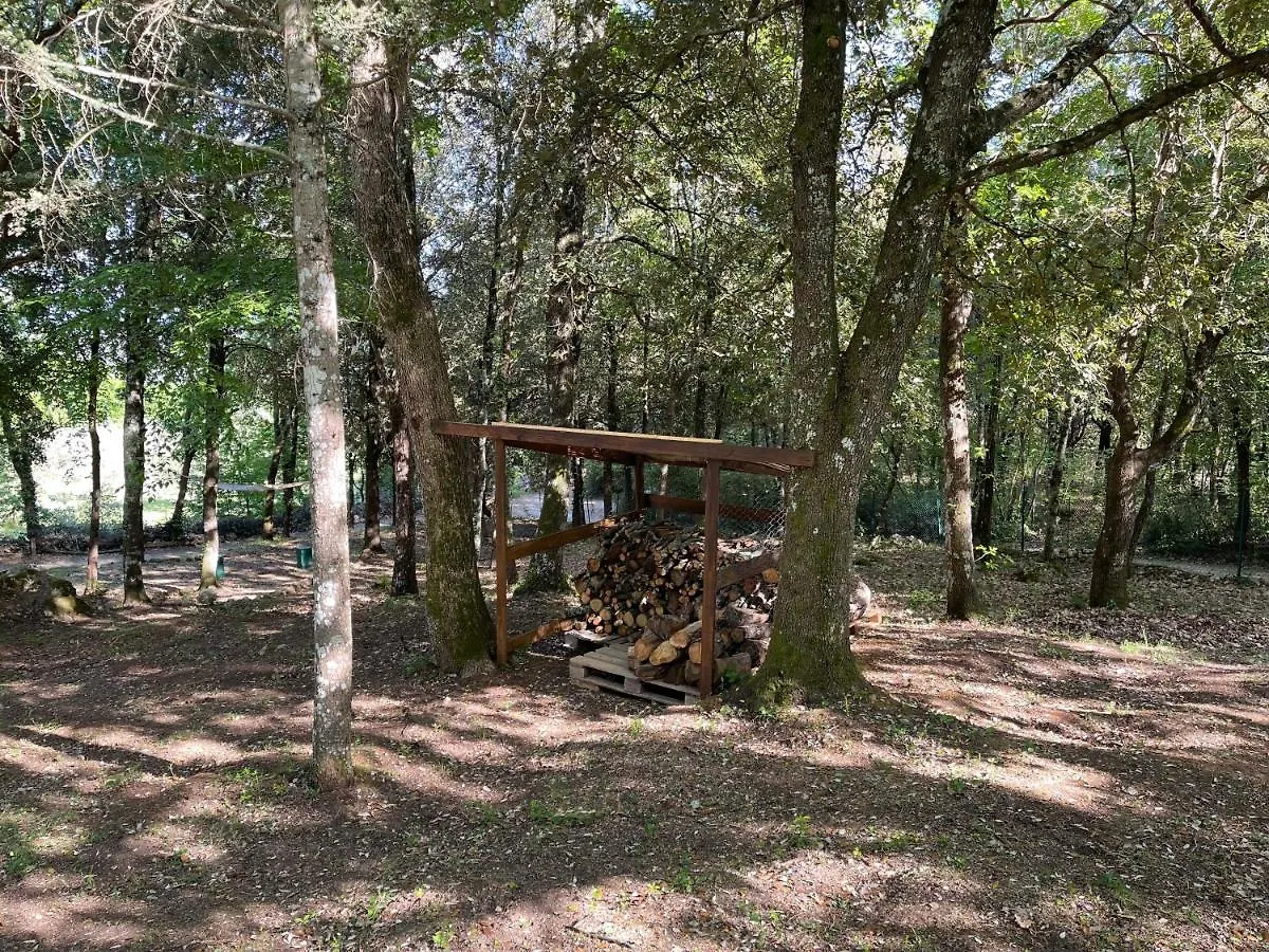 Villa Lilia By Let Siena Panzió